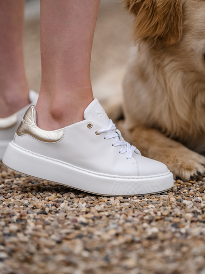 Wilda Trainer