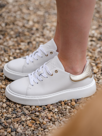 Wilda Trainer